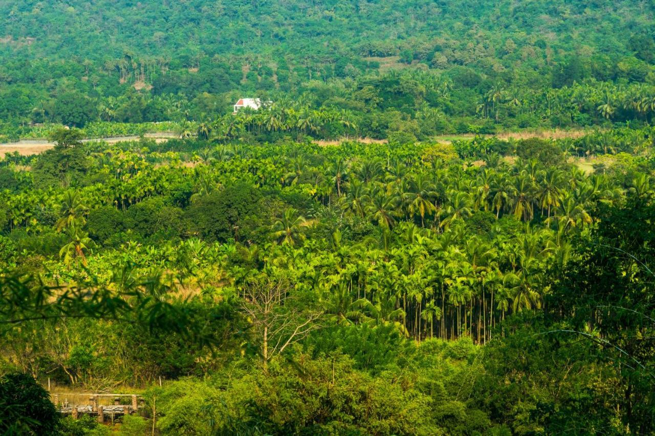 فيلا Lermitage Farms Kashid Alibaug المظهر الخارجي الصورة