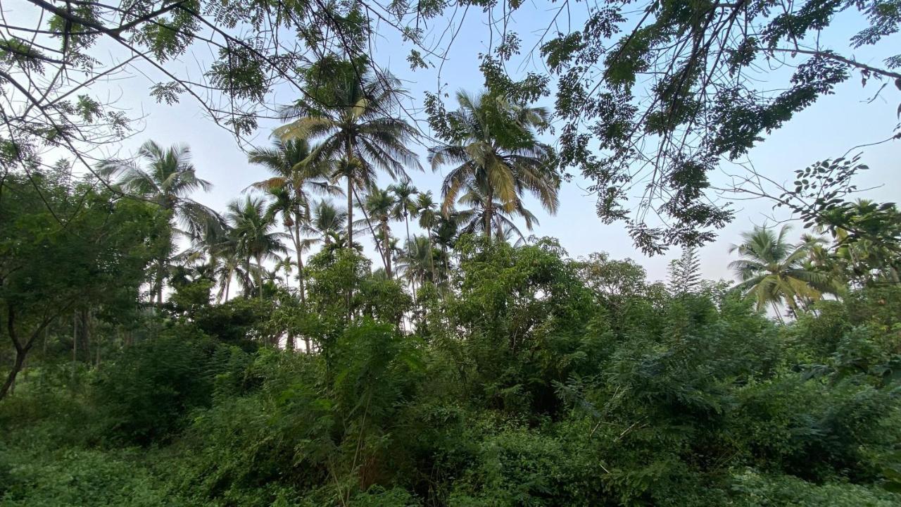 فيلا Lermitage Farms Kashid Alibaug المظهر الخارجي الصورة