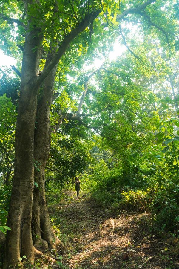 فيلا Lermitage Farms Kashid Alibaug المظهر الخارجي الصورة